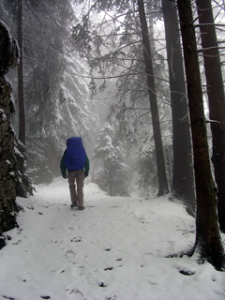 Unterwegs zum Brünigpass