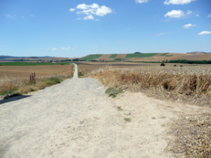 Vor Santo Domingo de la Calzada